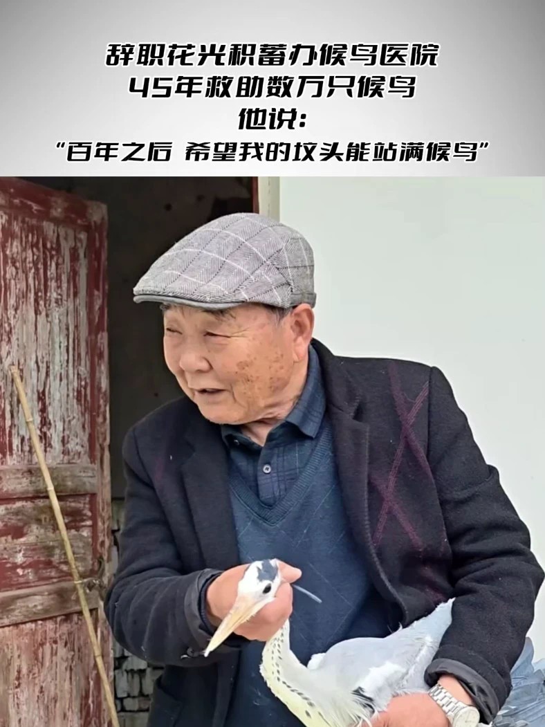 辞职花光积蓄办候鸟医院，45年救助数万只候鸟 他说：“百年之后，希望我的坟头能站满候鸟”