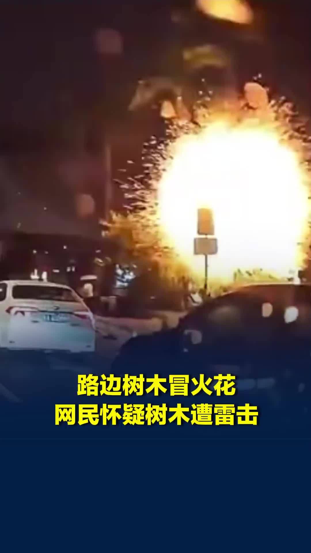 路边树木冒火花，网民怀疑树木遭雷击，城管：系广告牌电缆短路引起