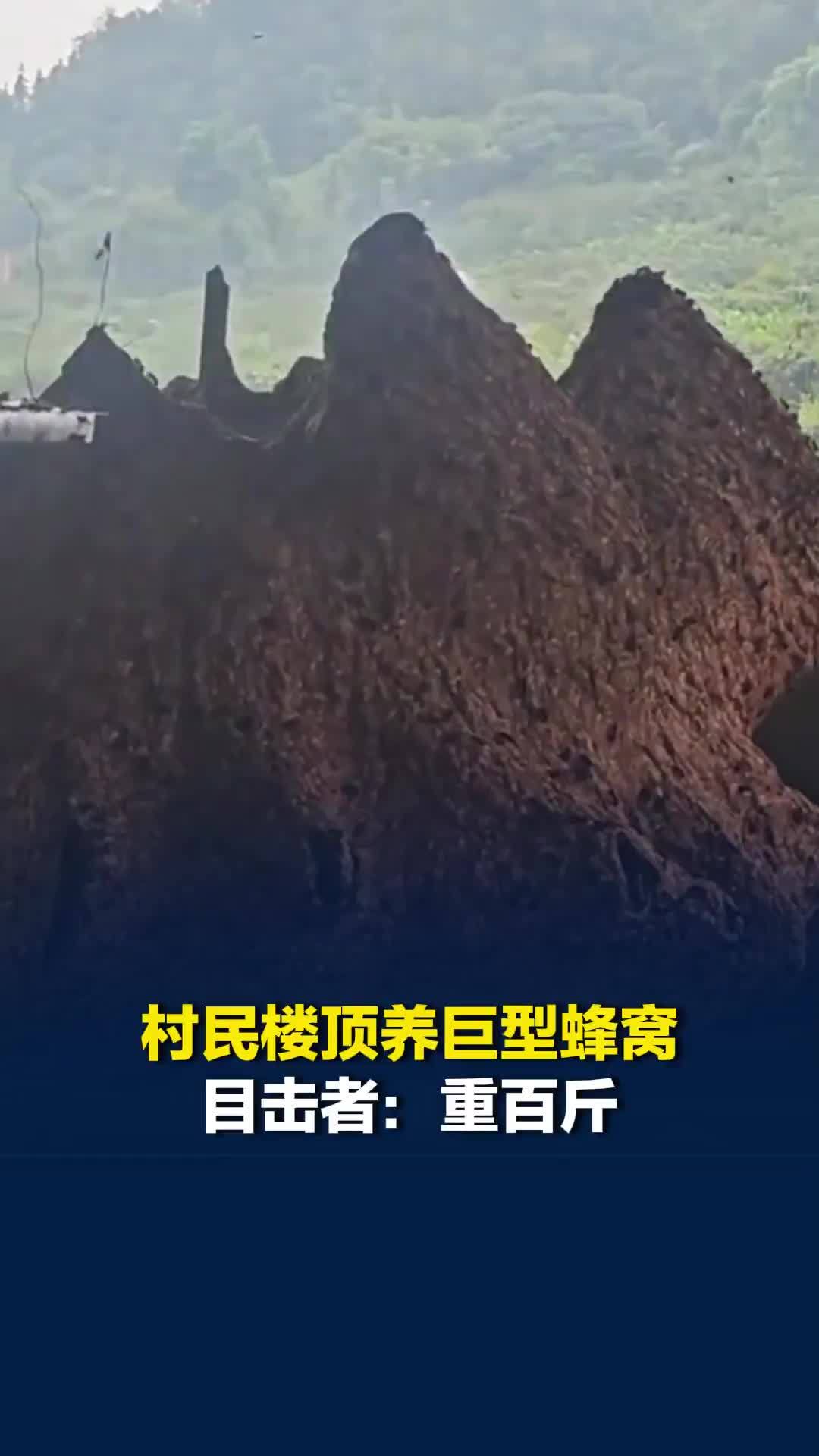 危险！四川宜宾一村民楼顶养巨型蜂窝，目击者：重百斤，野外遇到赶紧跑