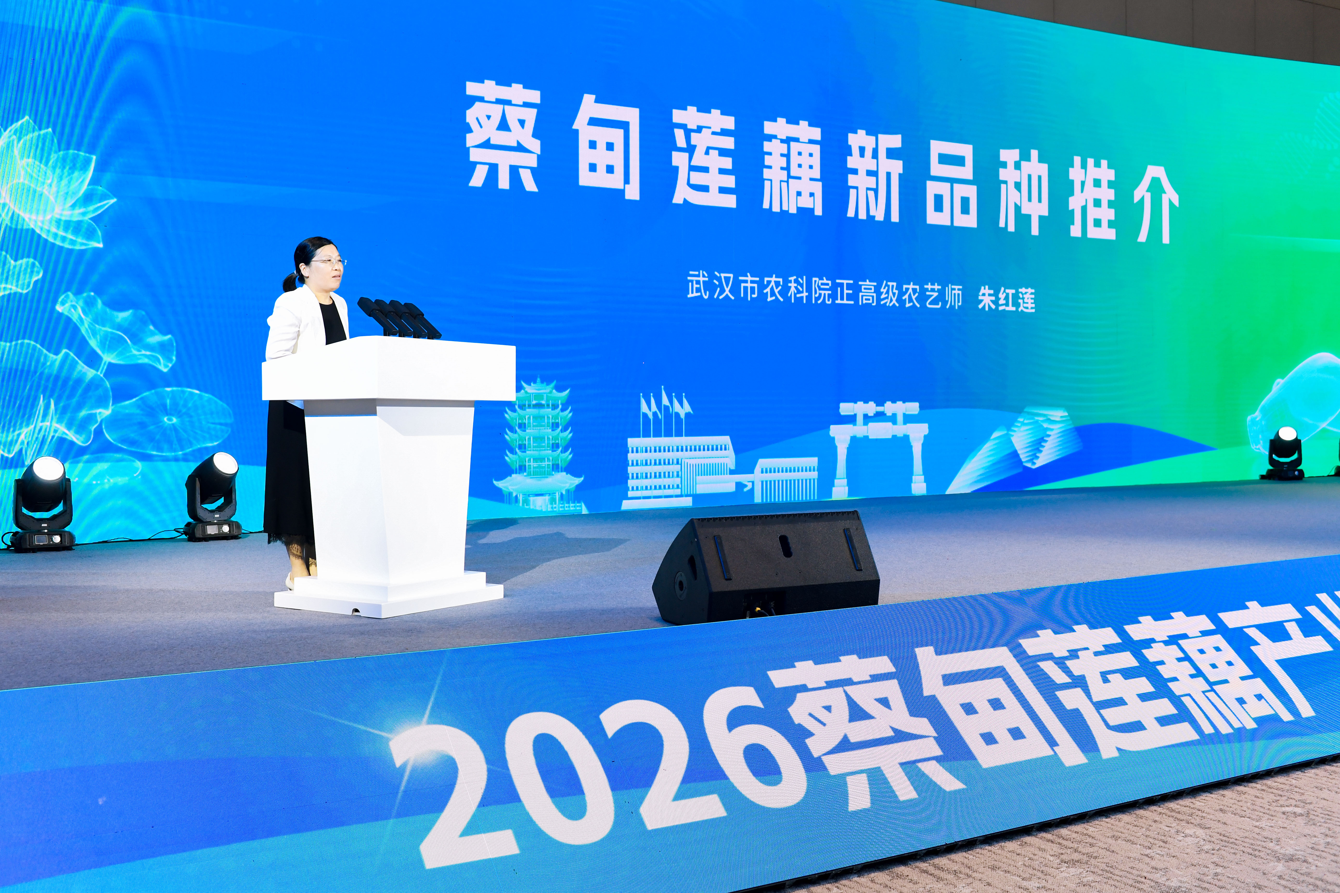 新标识、新标准、新合作——蔡甸莲藕产业冲刺百亿集群
