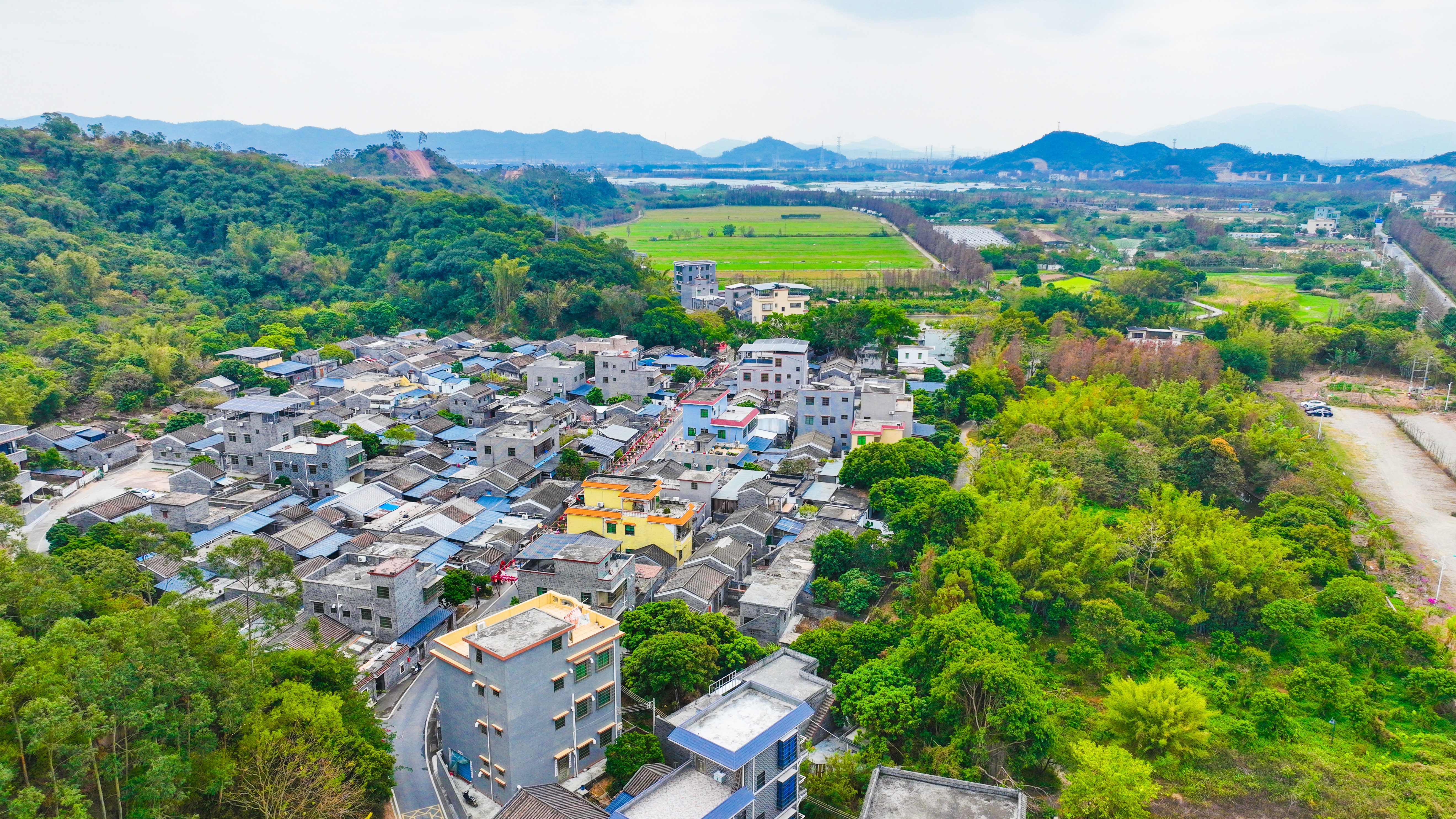 斗门：千亿工业底盘上长出“智造新高地”与“都市大花园”