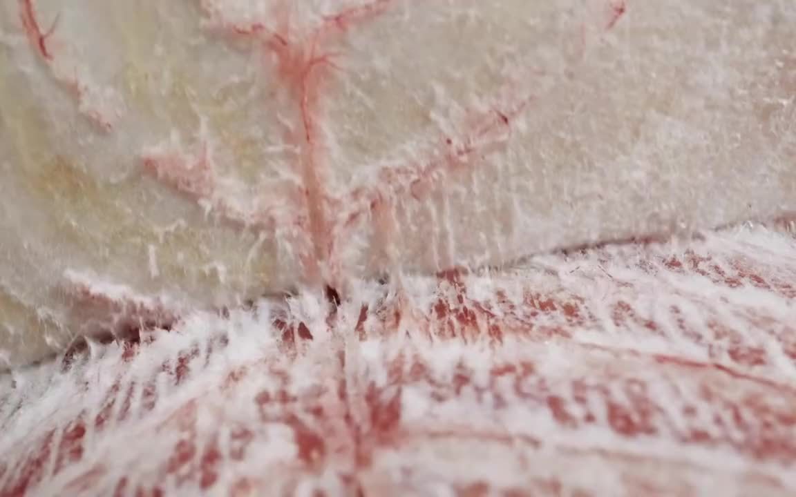 黑龙江抚远鱼肉鲜掉眉毛的吃法，也是鱼肉最夯的吃法