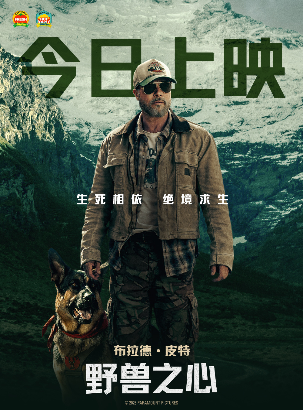 布拉德&middot;皮特新片《野兽之心》今日上映 人犬情深奋力寻找回家之路