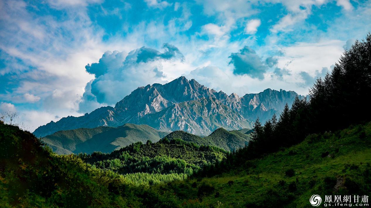 太子山国家级自然保护区绿意绵延,尽显生态保护丰硕成果。