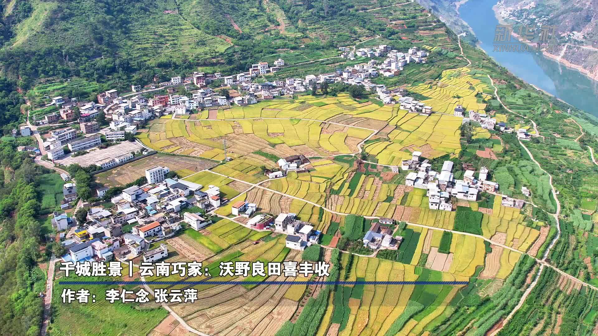 千城胜景｜云南巧家：沃野良田喜丰收