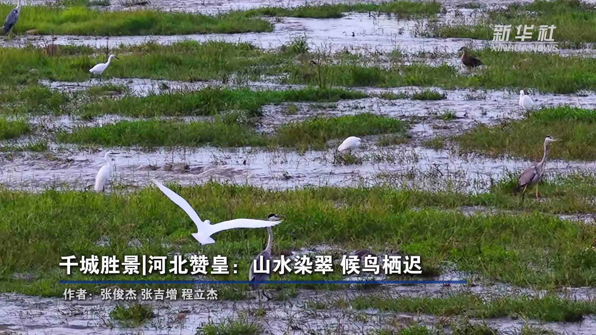 千城胜景｜河北赞皇：山水染翠 候鸟栖迟