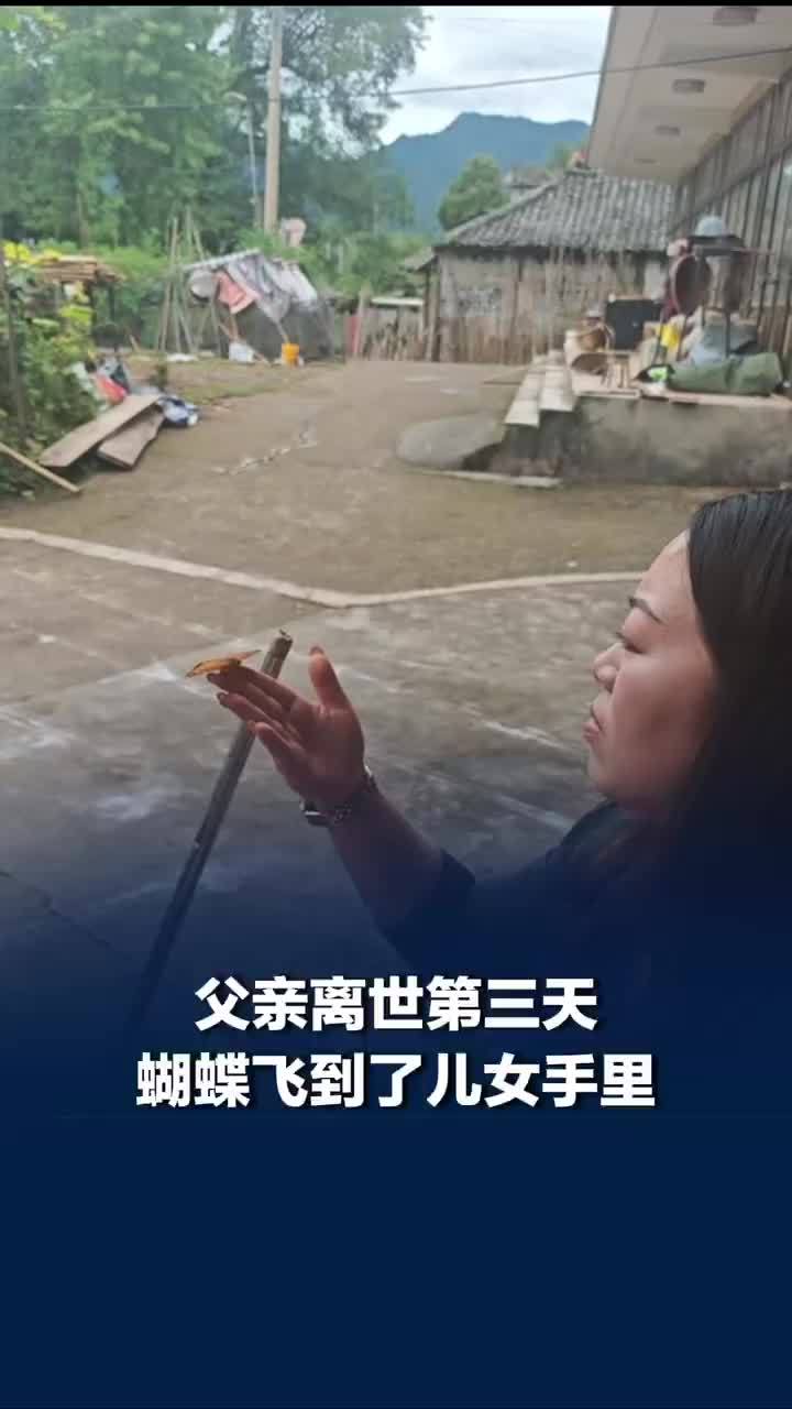 父亲离世第三天蝴蝶飞到了儿女手里