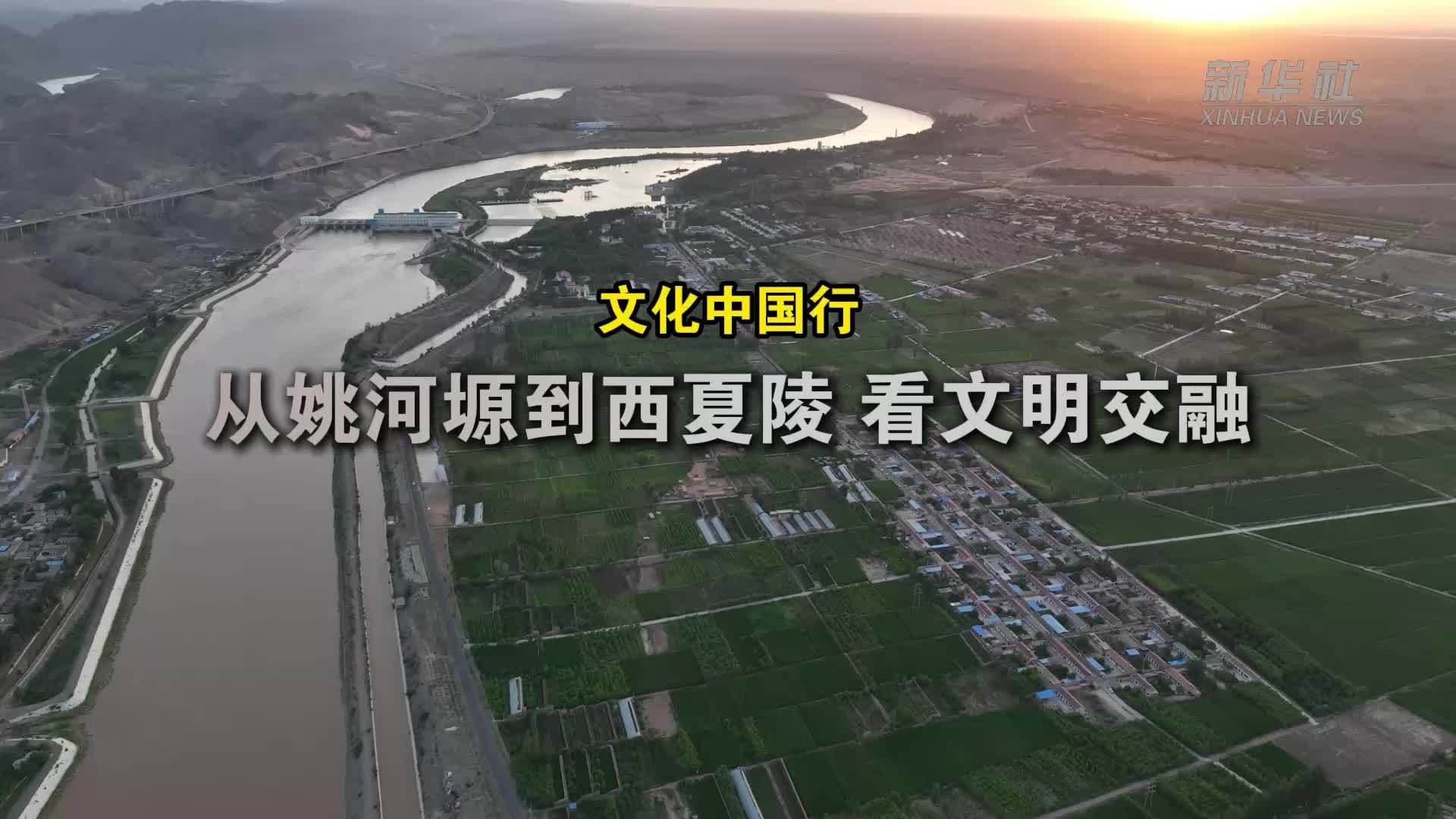 文化中国行｜从姚河塬到西夏陵 看文明交融