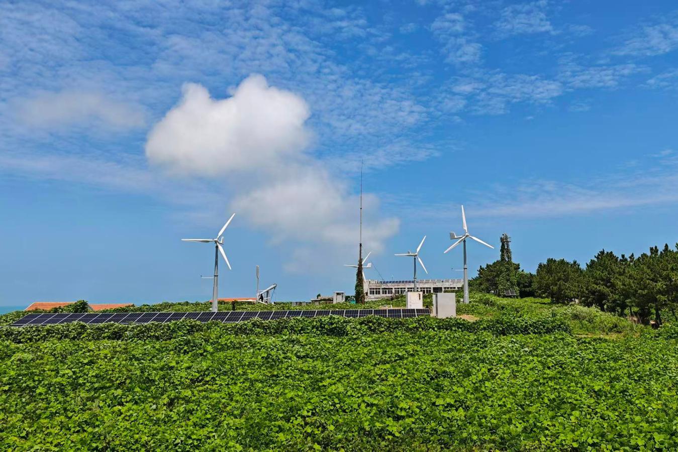 ▲国网青岛供电公司联合清华大学在大管岛建成风电+光伏+构网型储能的100%绿电孤岛微网