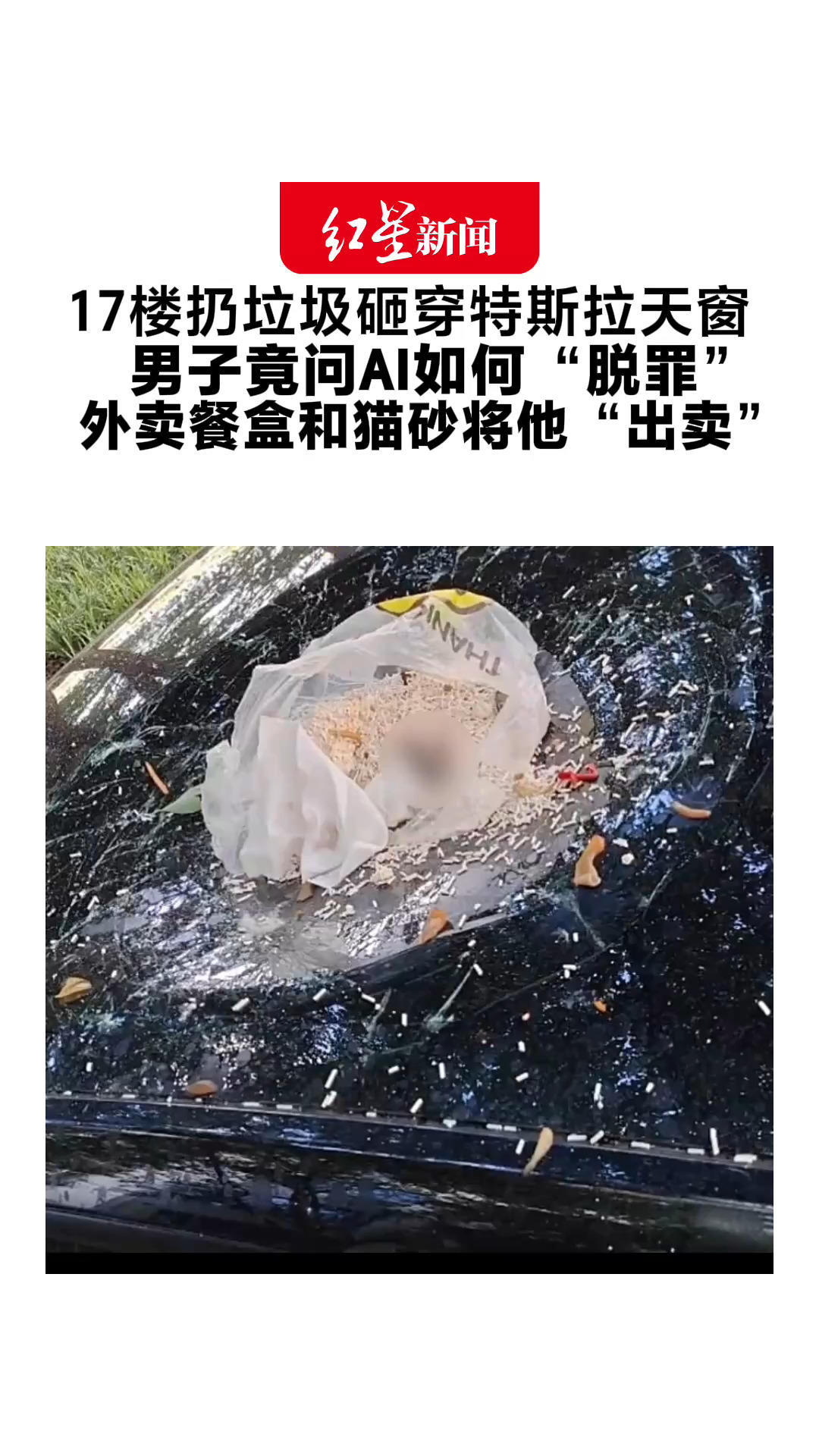 17楼扔垃圾砸穿特斯拉天窗 男子竟问AI如何“脱罪” 外卖餐盒和猫砂将他“出卖”其涉高空抛物罪被采取刑事强制措施