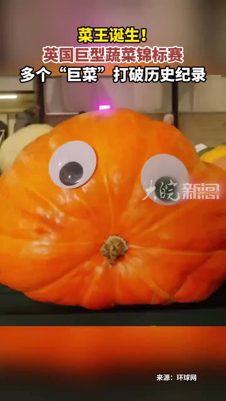 菜王诞生！英国巨型蔬菜锦标赛 多个“巨菜”打破历史纪录