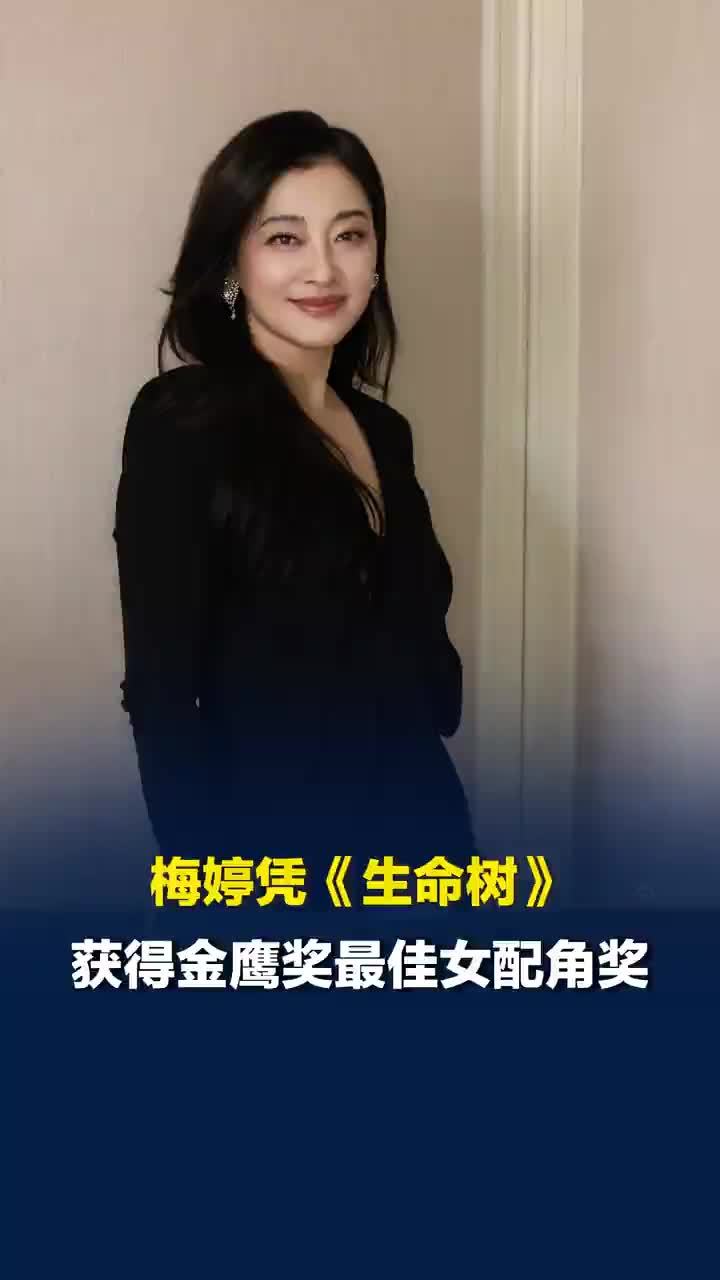 梅婷获奖后激动落泪
