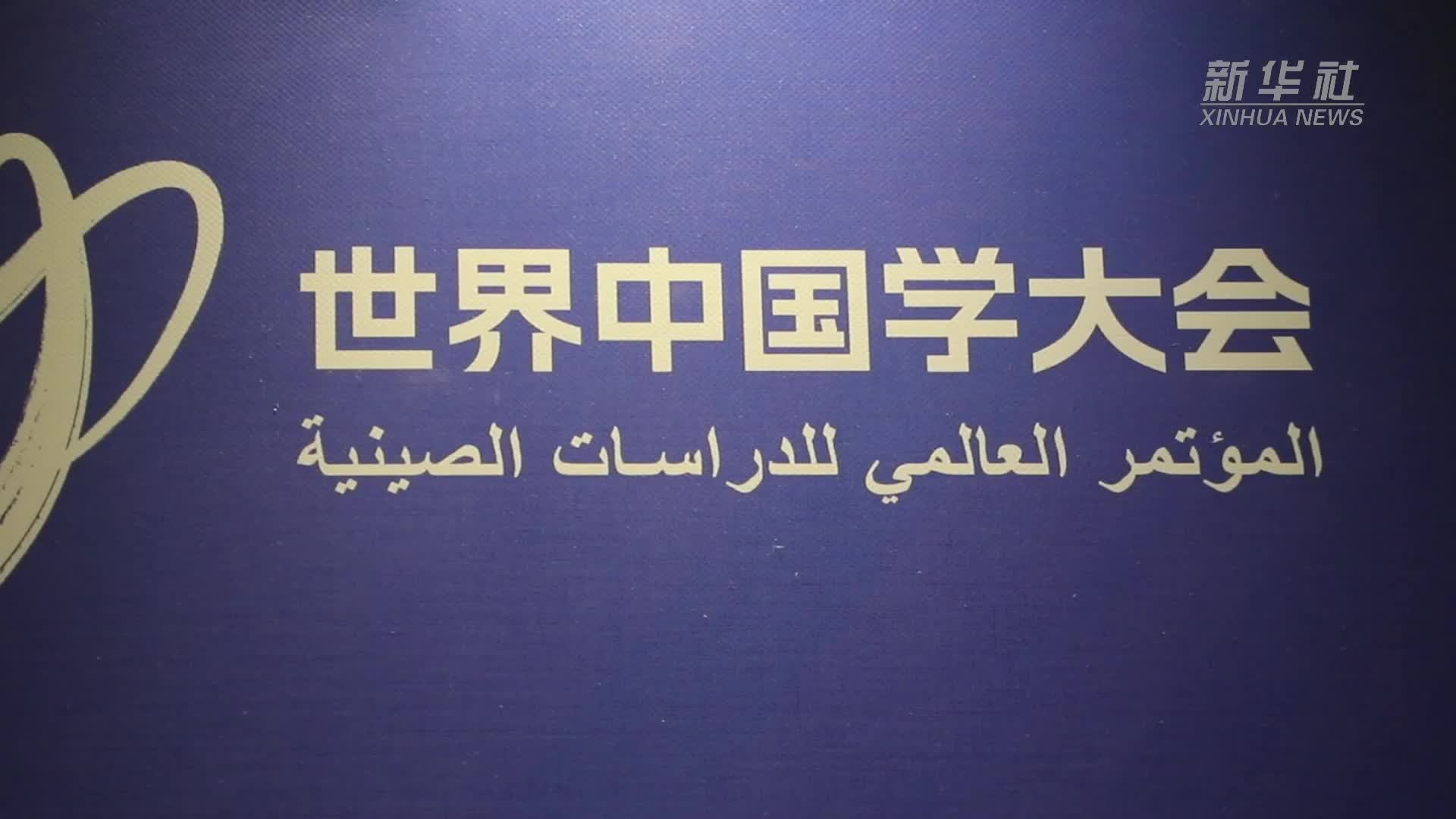 “中国学的世界对话·阿拉伯国家专场”活动举行