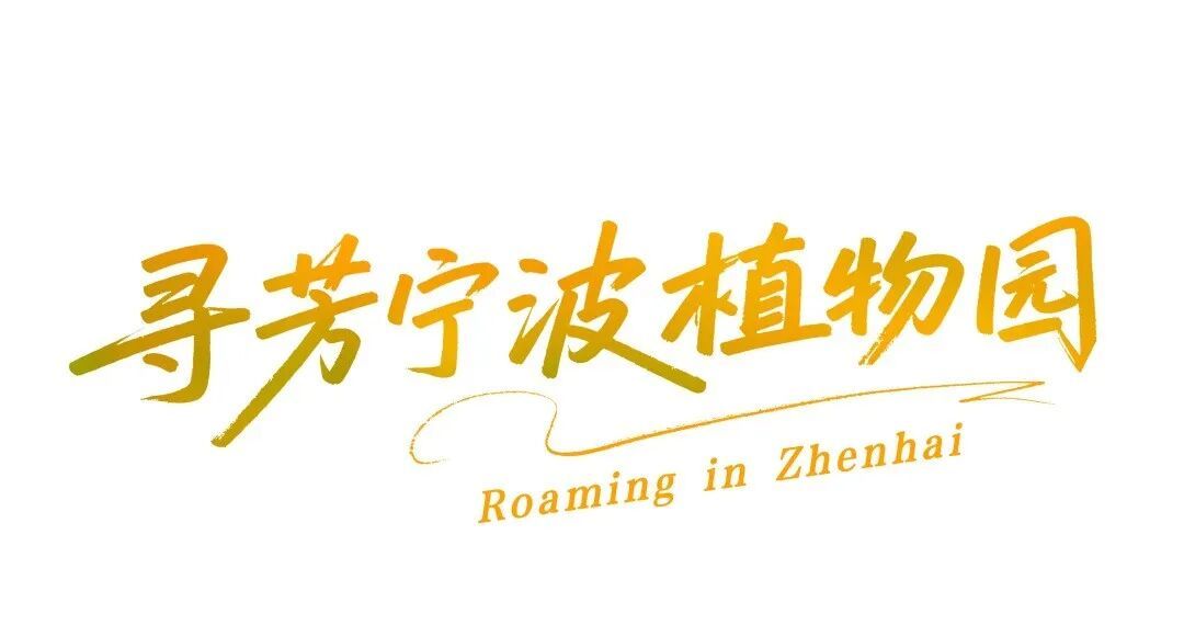 漫游标题1.png