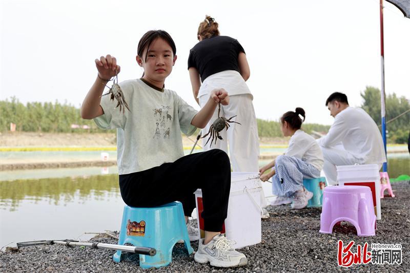 9月30日,游客在唐山市丰南区柳树瞿阝镇一处稻蟹共生基地垂钓河蟹。李秀清摄影报道