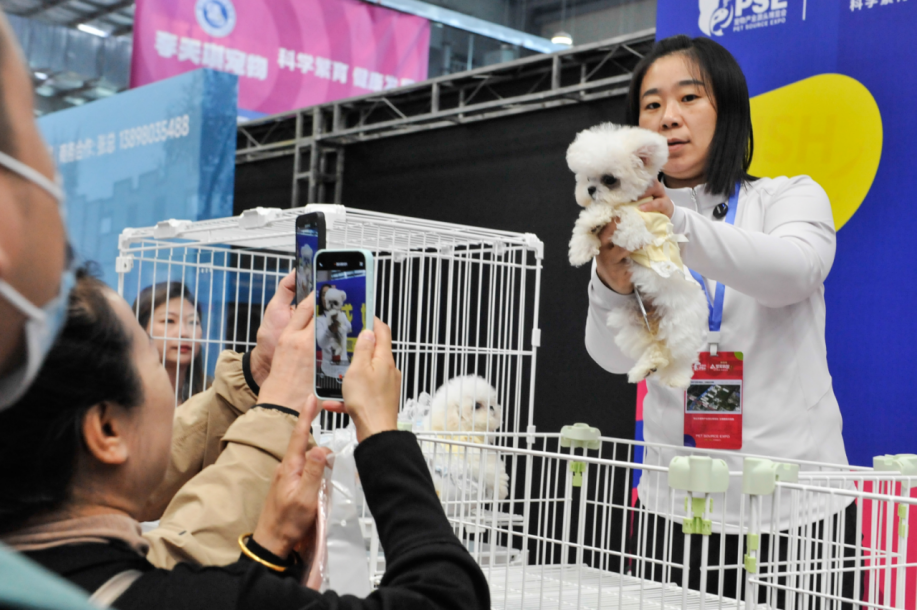 “科学繁育 健康发展”2026首届宠物产业源头博览会开幕式圆满落幕
