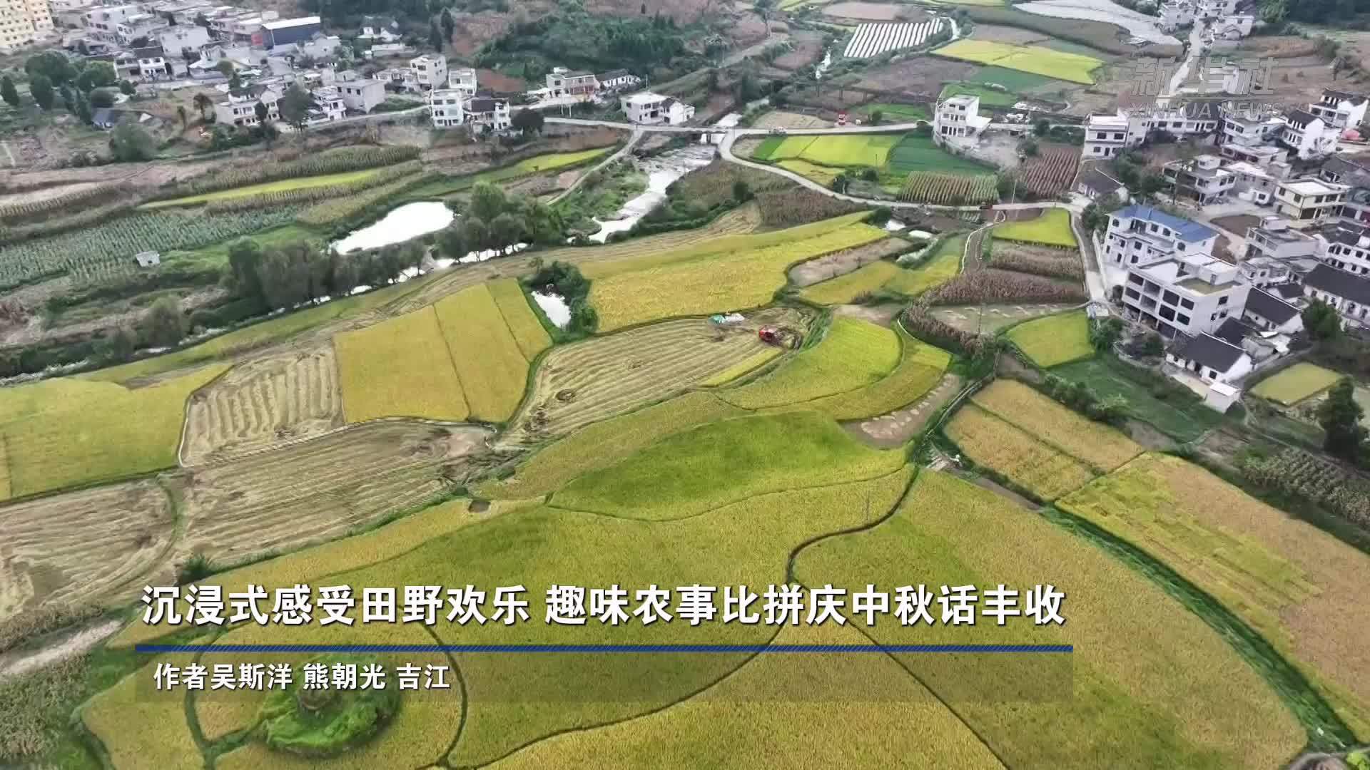 沉浸式感受田野欢乐 趣味农事比拼庆中秋话丰收