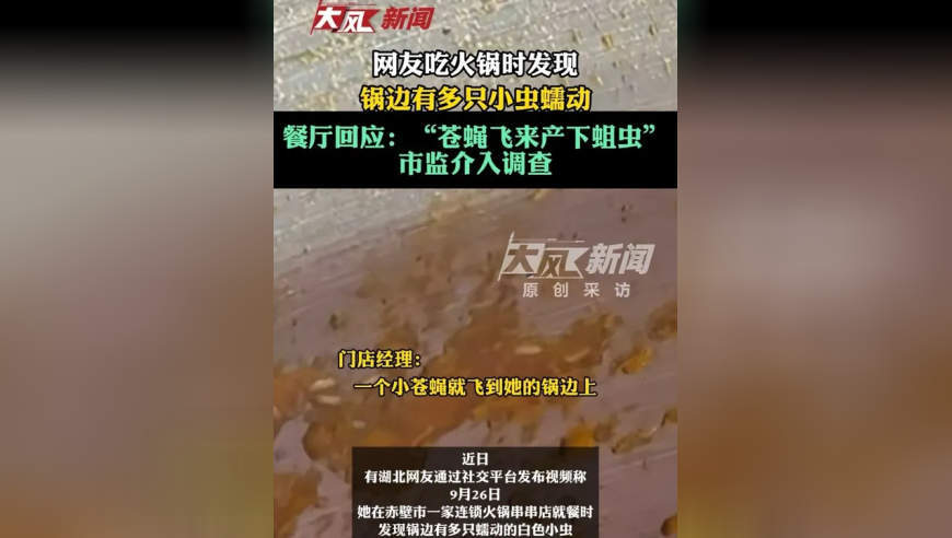 网友吃火锅时发现锅边有多只小虫蠕动，餐厅回应：“苍蝇飞来产下蛆虫”；市监介入调查