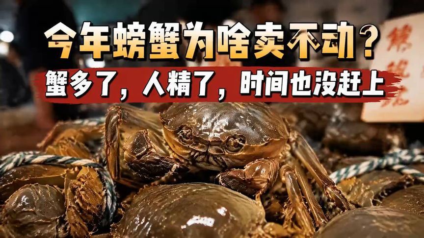 今年螃蟹为啥卖不动？蟹多了，人精了，时间也没赶上