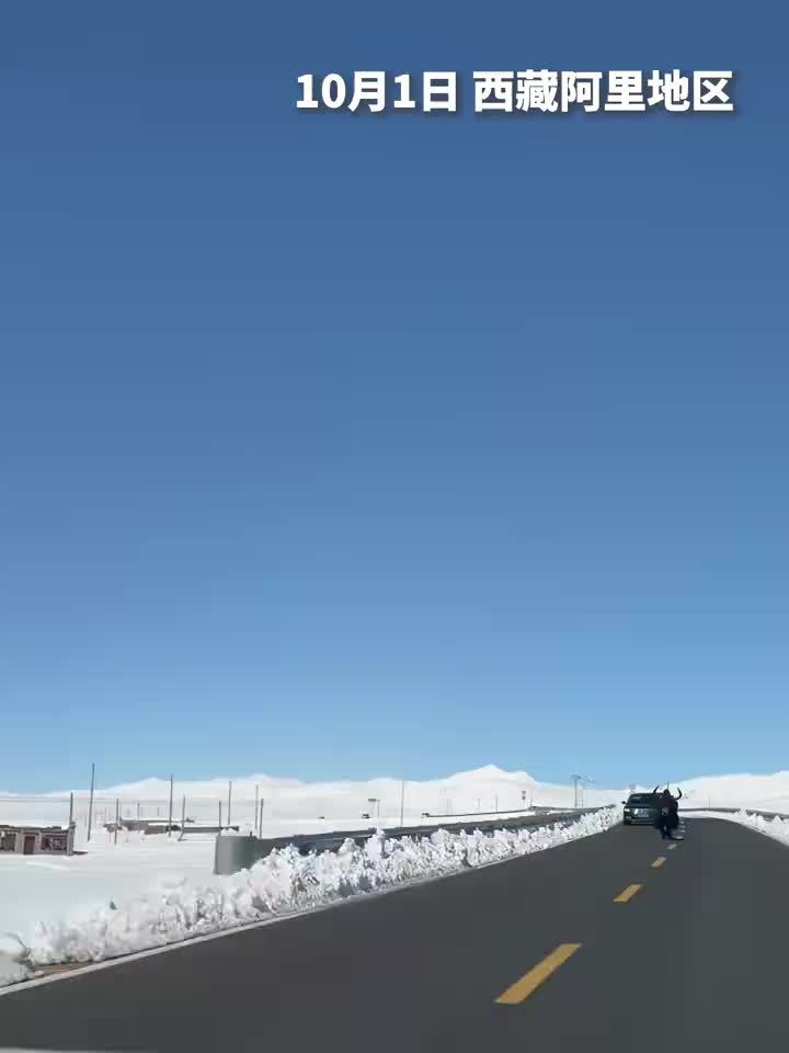 自驾途中遇牦牛挑衅后放行