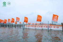 云图片