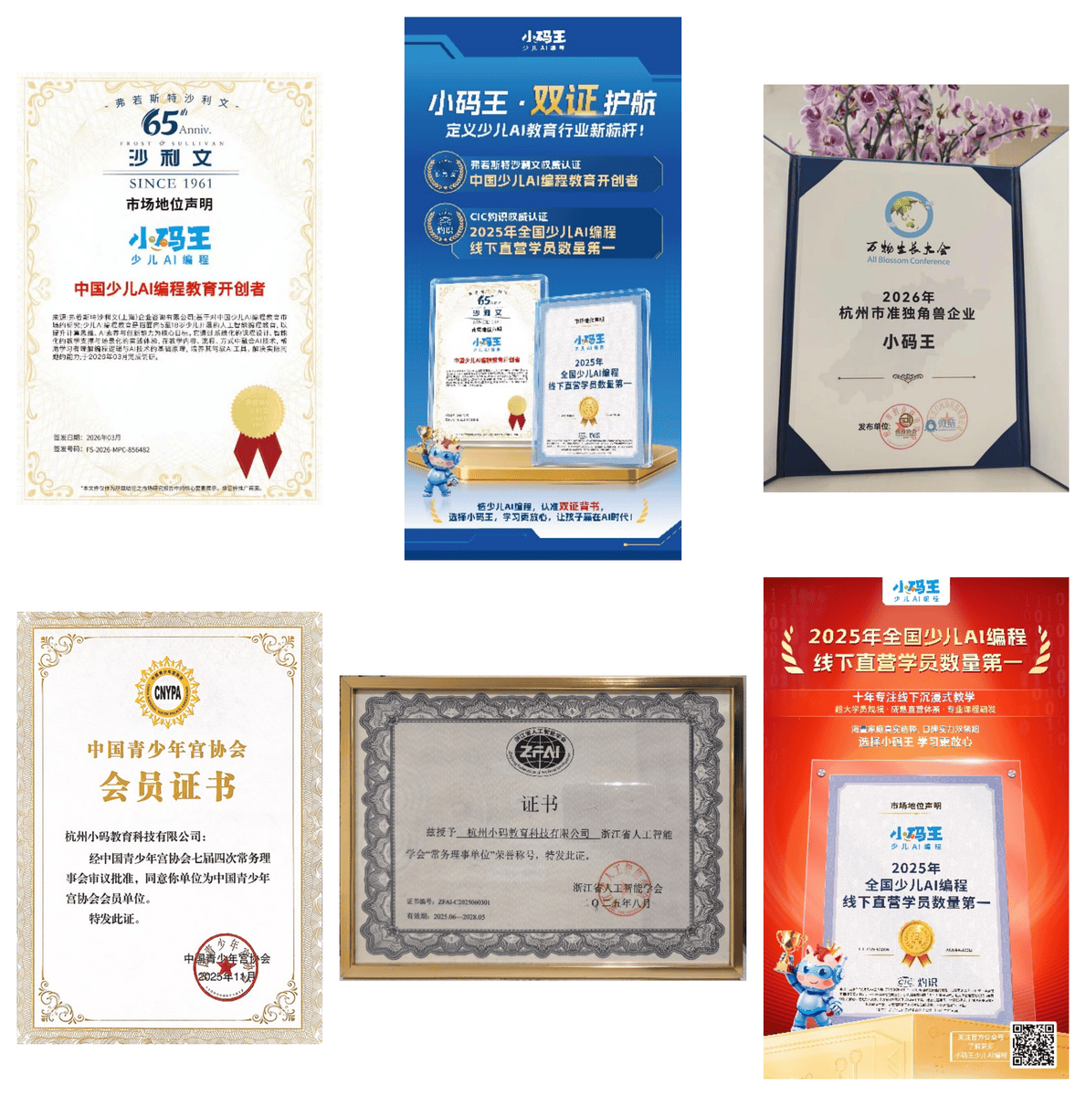 小码王少儿AI编程认证图