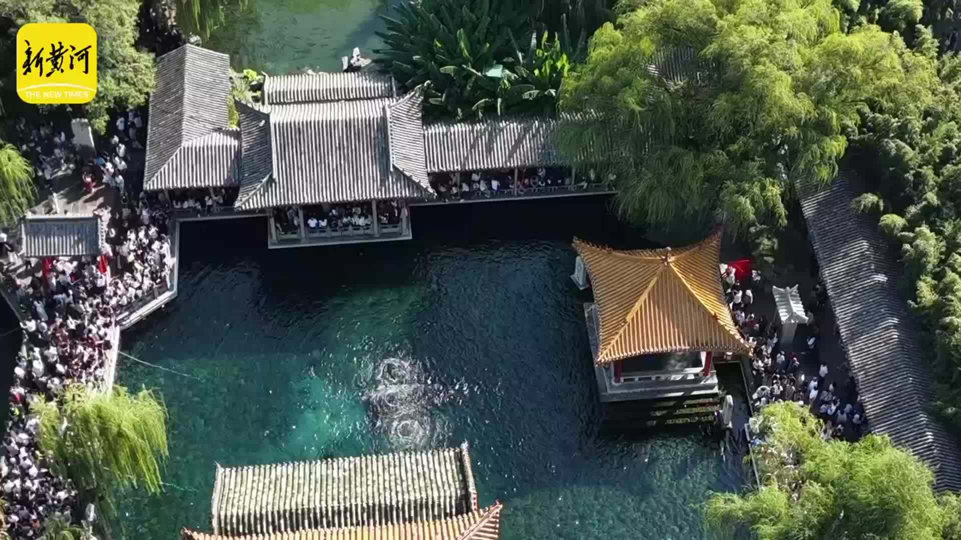 泉城晴好秋意暖，“趵突腾空”引客来