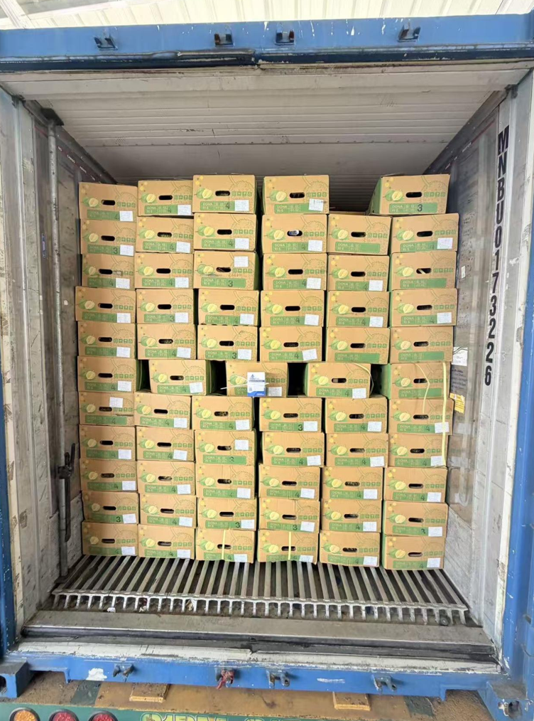 越南多乐榴莲企业到访深穗,进口榴莲竞争进入“拼供应链协同”阶段