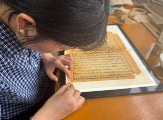 江西传媒职业学院首次开设古籍修复方向专业