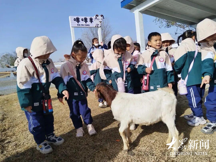 潍坊安丘合力牧场成为孩子们的休闲乐园。