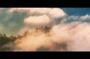 秋染大别山 康养来六安 | 寻幽观菊色 沐泉享安然