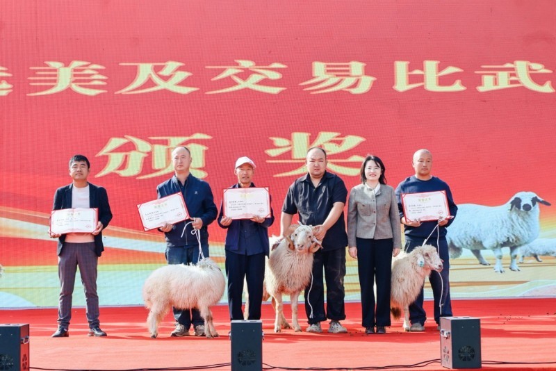 京东开羊季收官站落地“中国滩羊之乡”!首批定养数万只滩羊,助力农户稳增收