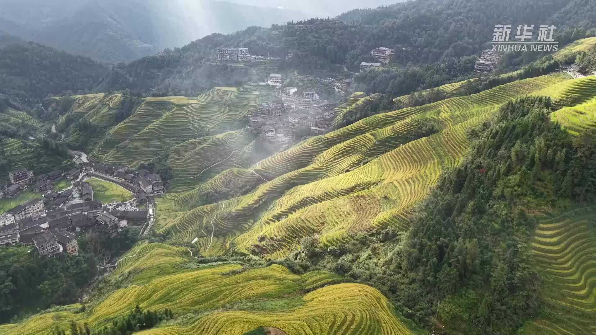 广西龙胜：三千跑者“打卡”金秋龙脊