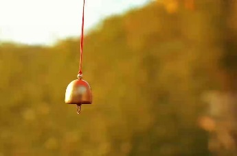 秋染大别山 康养来六安 | 丹枫铺胜境，秋静养天和