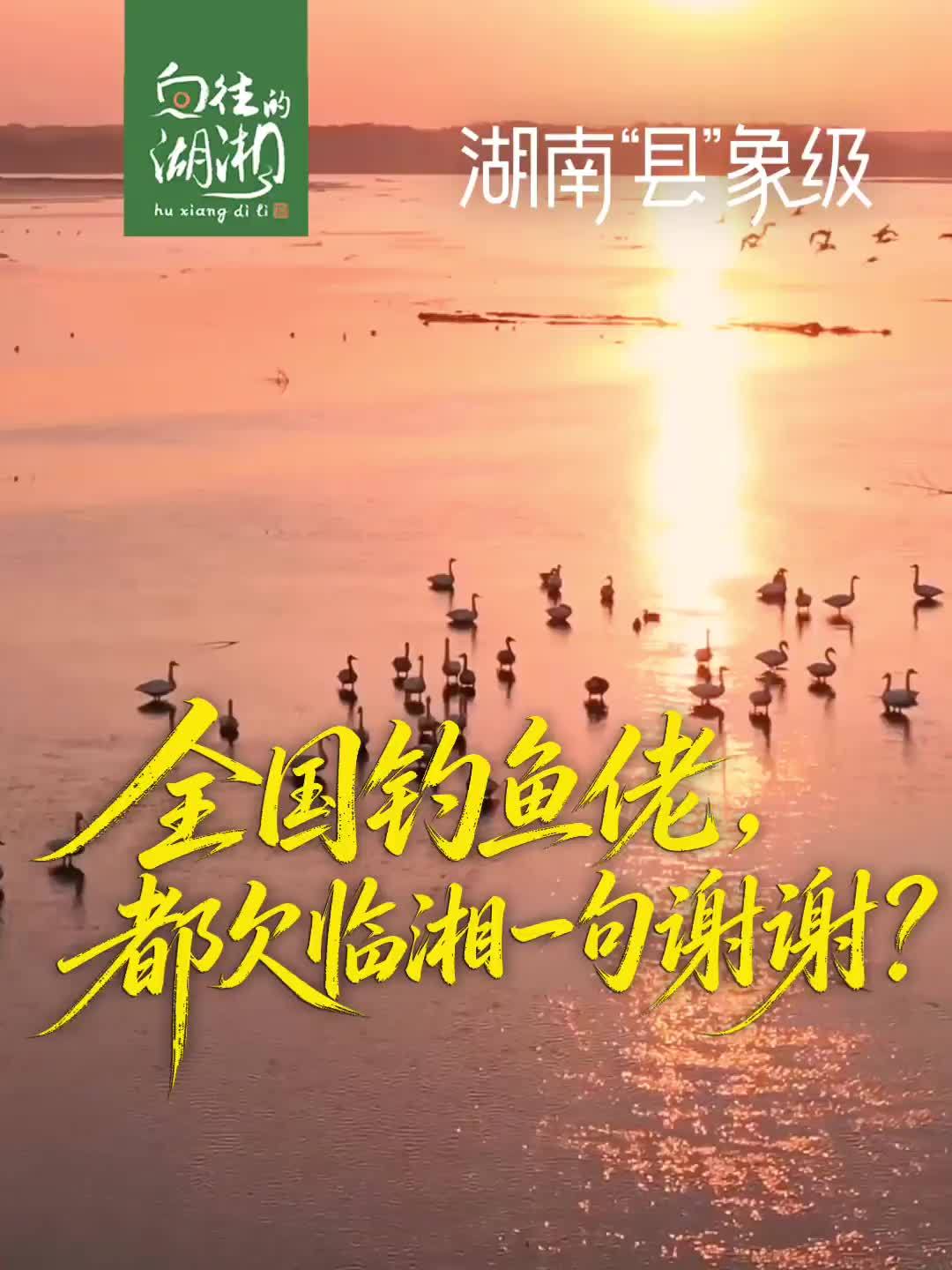 全国的钓鱼佬为什么都要谢谢这座湘北小城，临湘藏了多少硬核底牌？