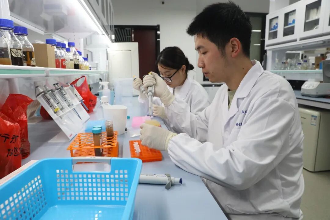 湖南合成生物制造产业创新中心实验室。受访者供图
