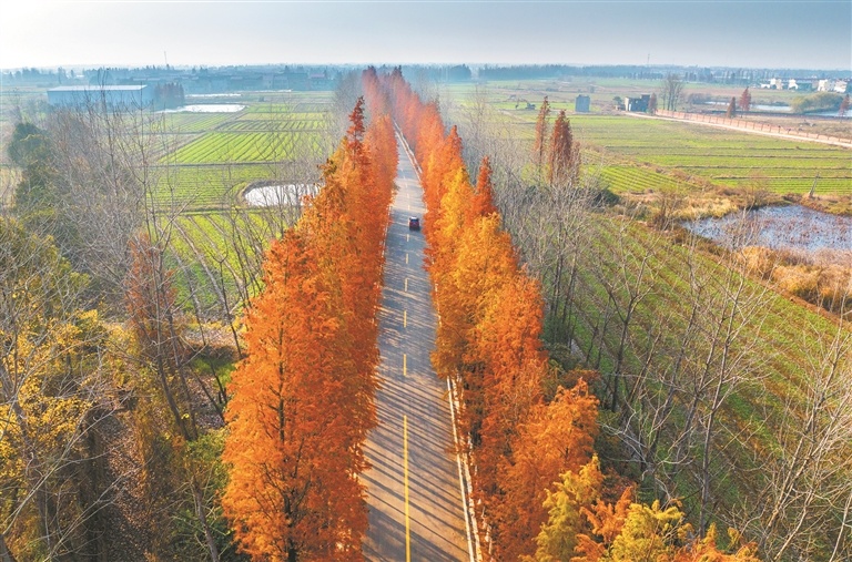 南昌县湾里至庄山生态旅游路