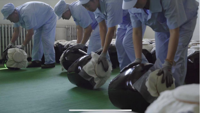 六必居资料5000