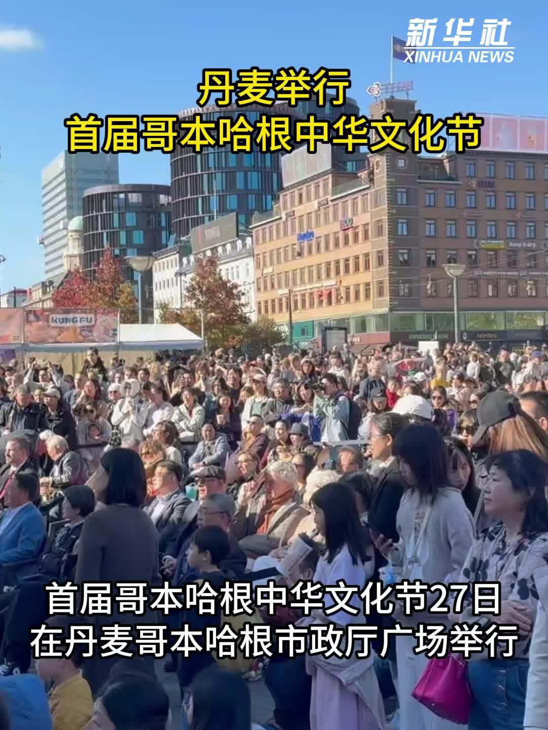 丹麦举行首届哥本哈根中华文化节