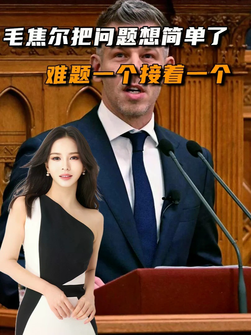 毛焦尔把问题想简单了，3次遭袭击，难题一个接着一个#零基础看懂全球#全球创作者计划