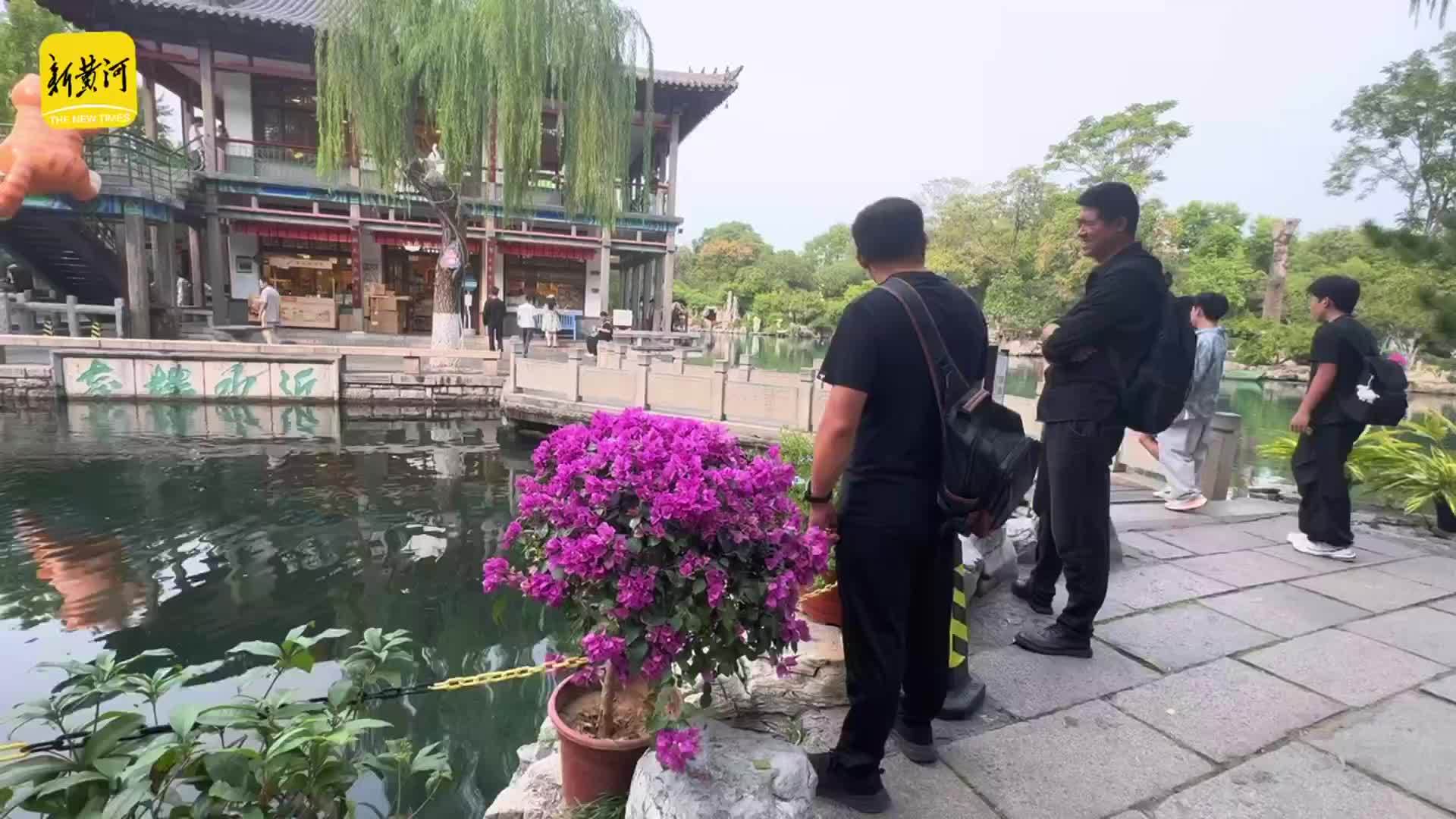 济南五龙潭新添美景，三角梅盛放绘就秋日画卷