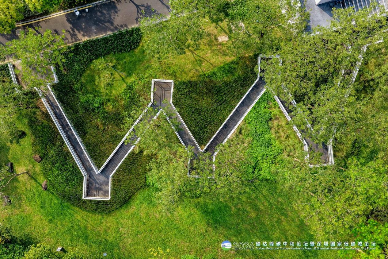 重磅成果频频发布,这个论坛为全球可持续发展贡献“深圳方案”