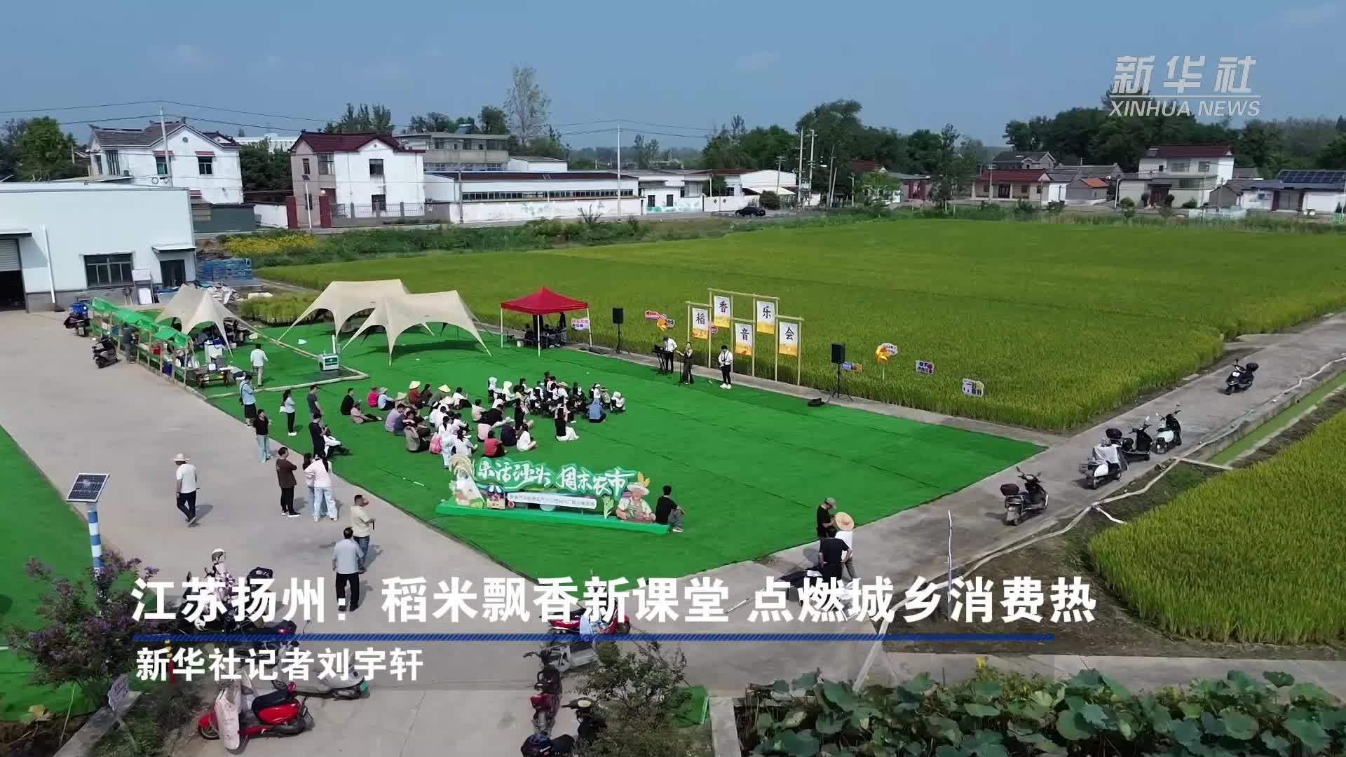 江苏扬州：稻米飘香新课堂 点燃城乡消费热