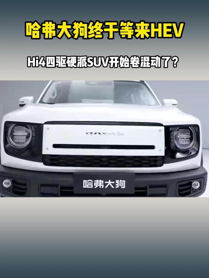 哈弗大狗终于等来HEV，Hi4四驱硬派SUV开始卷混动了？