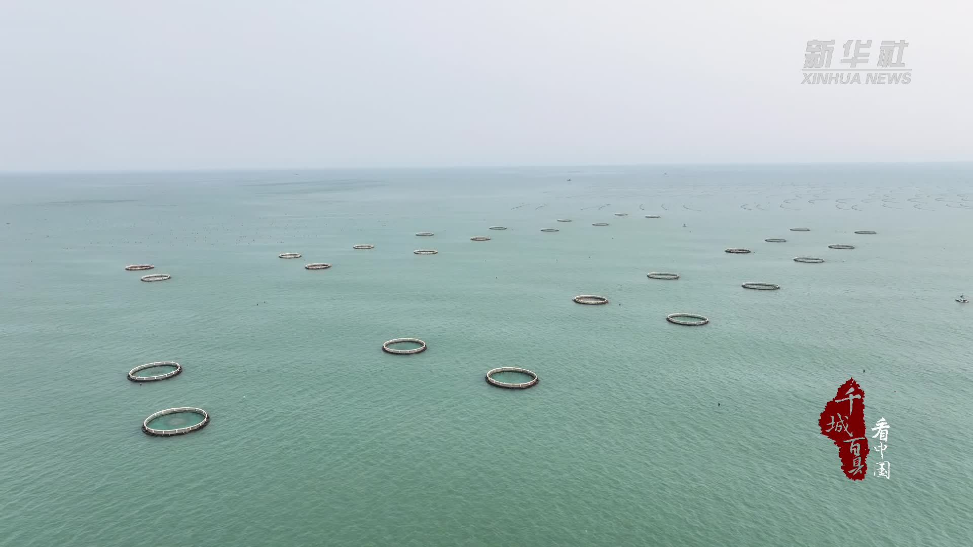 千城百县看中国｜山东东港：深海轮养解锁一年双收