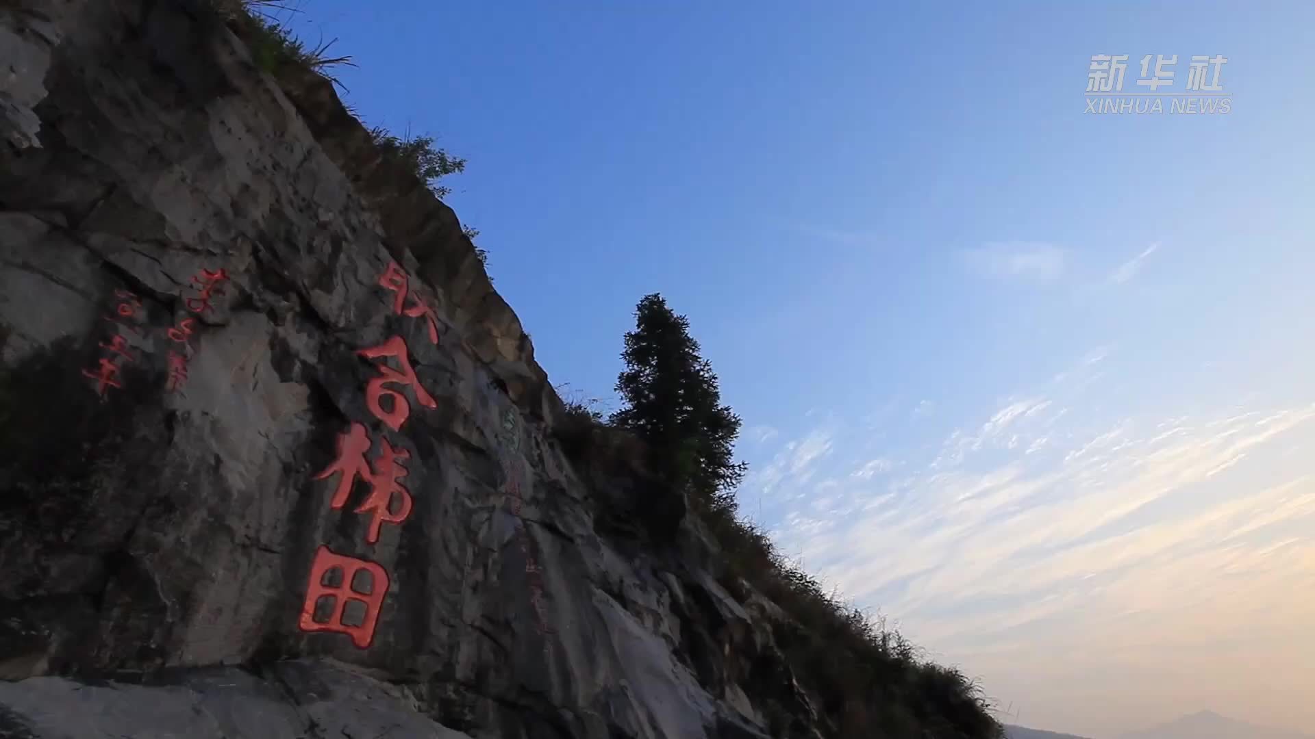 瞰中国｜福建尤溪：秋韵满梯田