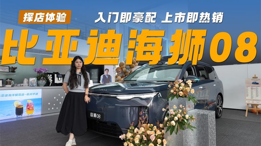 海狮08，入门即豪配，上市即热销，五座六座都从容