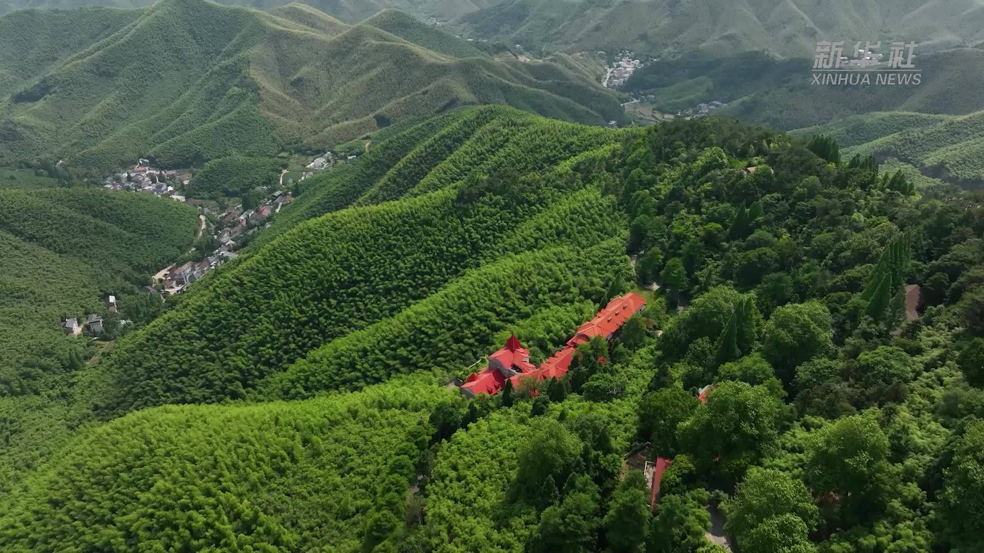 不只是民宿 浙江德清多元业态绘就文旅发展新图景
