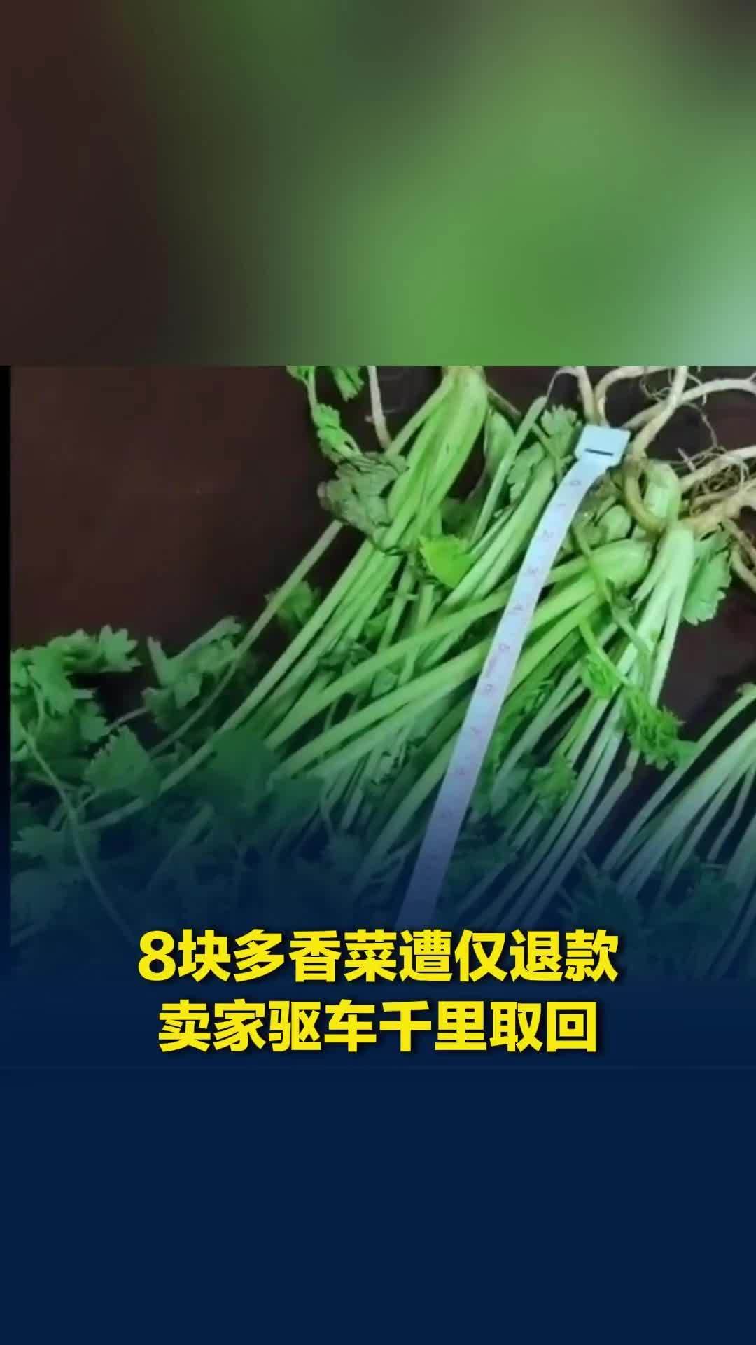 8.59元香菜遭仅退款，卖家驱车千余公里取回香菜：往返花费千元，但不去心里不舒服