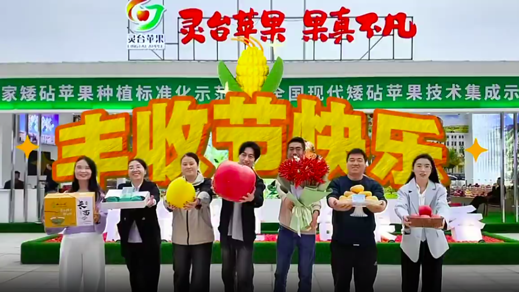 甘肃灵台：人们常常因为家乡迎来丰收　而感到由衷喜悦